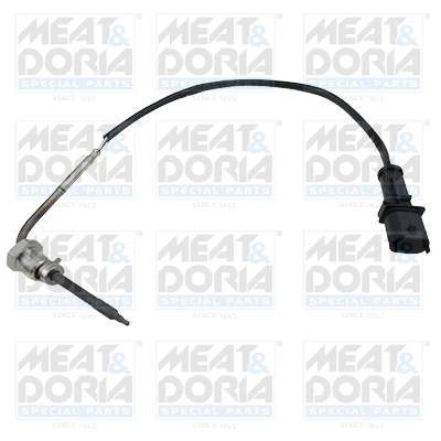 Sensor, exhaust gas temperature